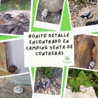 Pequeños descubrimientos en Camping Venta de Contreras