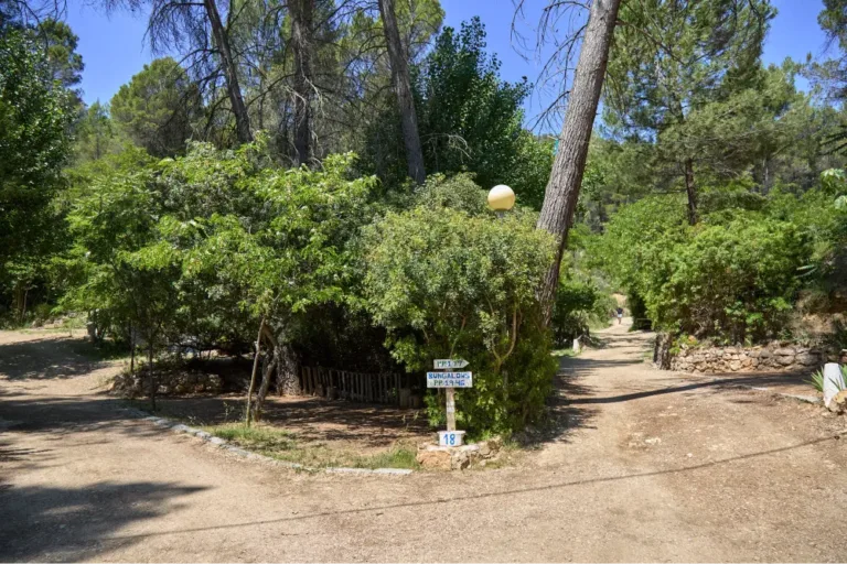 Venta de Contreras — photo 7